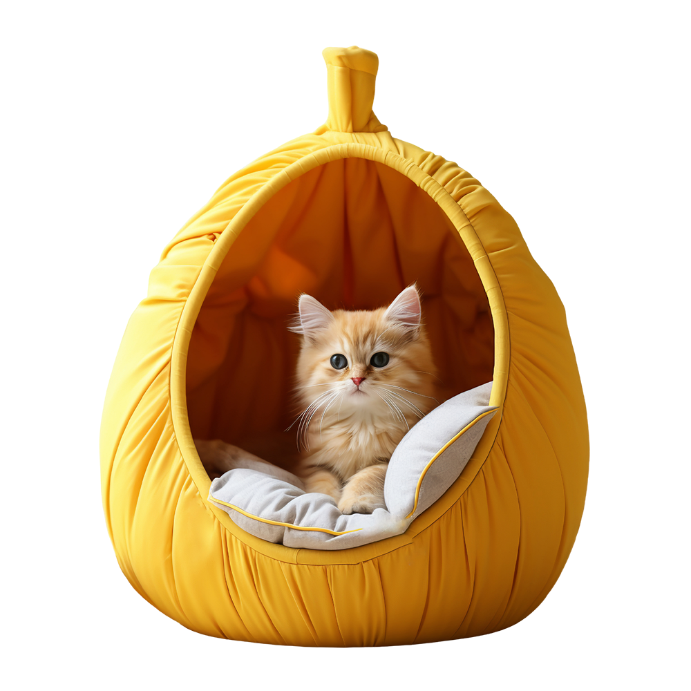 A cat in a cosy luxury bed — Crown Pet Hotel